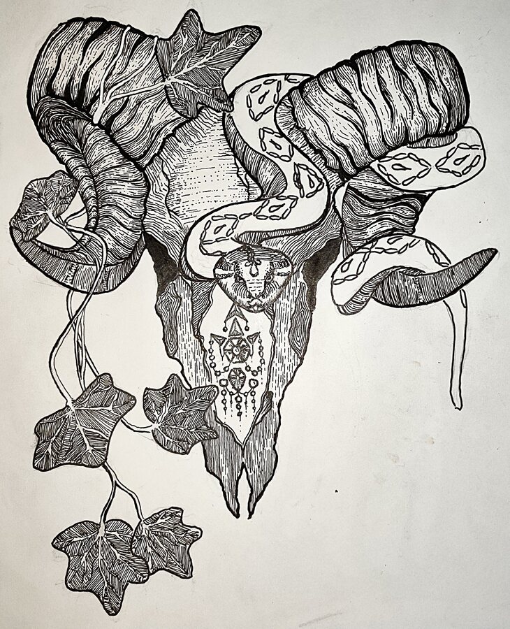 Intricate black ink drawing combining a skull, snake, mushrooms, leaves, cloth, and jewelry-like forms.