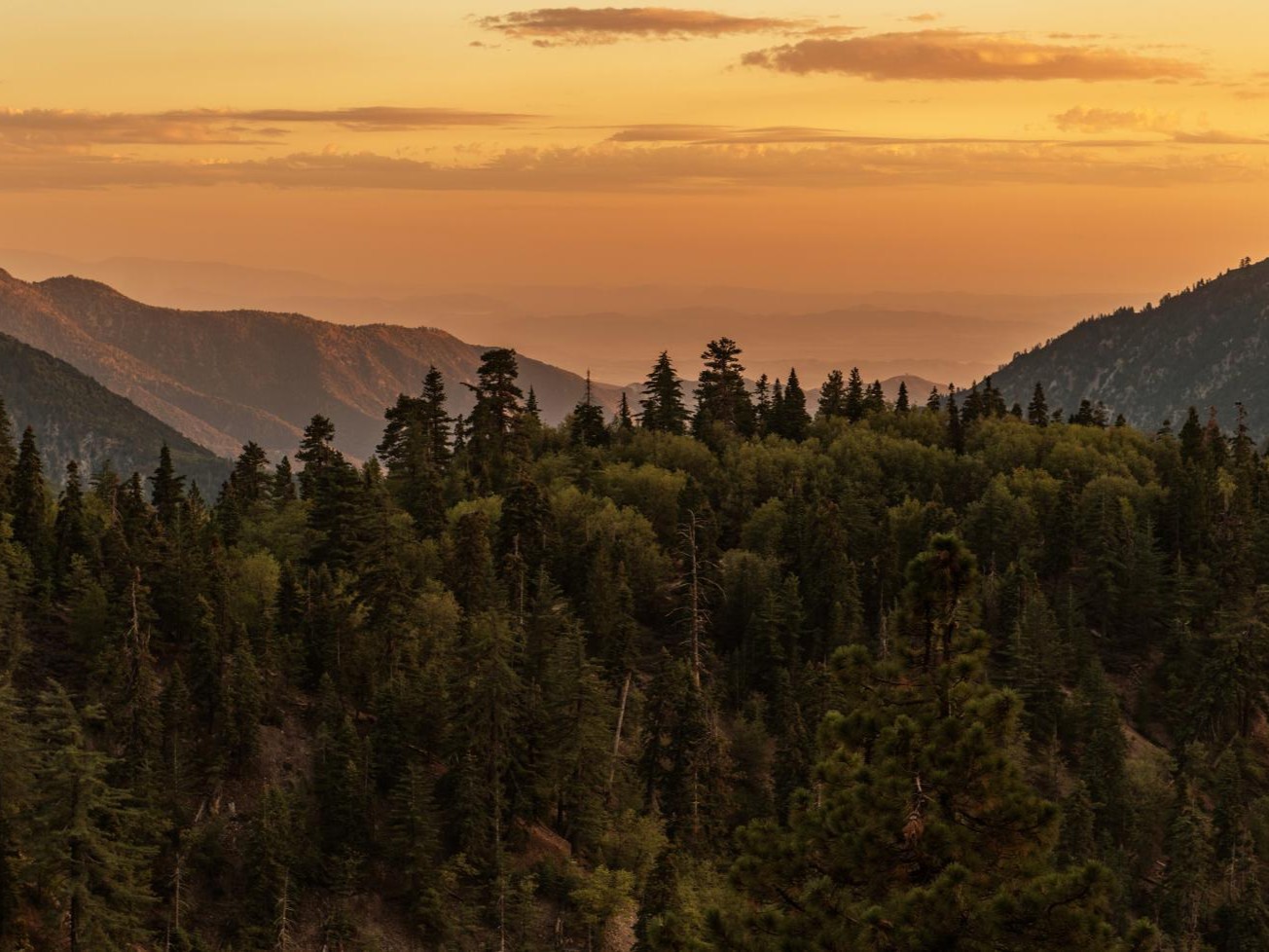 FIA dashboard preview thumbnail